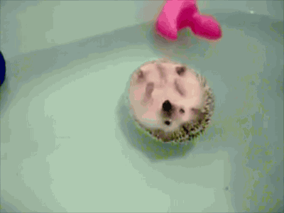 https://i.gifer.com/WJke.gif