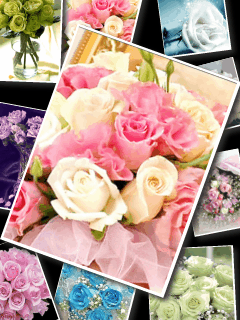Flowers Gifs And Roses Live Wallpapers  Free download and software reviews   CNET Download