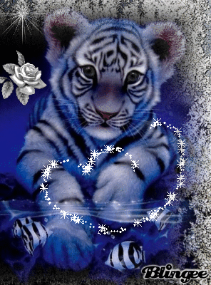 s Gif Trouver Sur Gifer