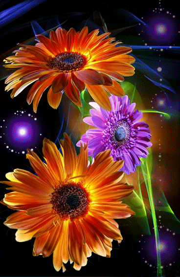 animated images of flowers free download