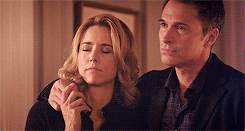 GIF the affair - animated GIF on GIFER