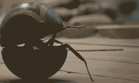 Ad gif. Oh nope.