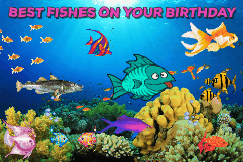 Birthday fishes день рождения рыба гифка.