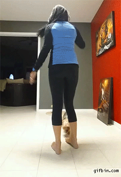 Girls In Yoga Pants And Leggings GIFs