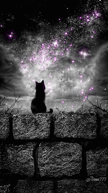 Night GIF Find On GIFER Night GIF Find On GIFER