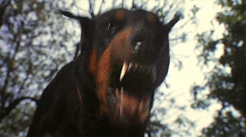 Dog Rascal Gif Movie animals dogs GIF - Find on GIFER