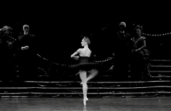 I’m spinning like a ballerina : snails