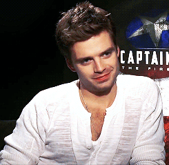 Sebastian stan GIF - Find on GIFER
