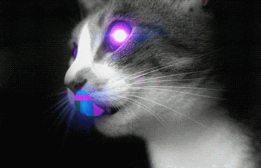 Gato Galactico Tôgato GIF - Gato Galactico TôGato Sensual - Discover &  Share GIFs