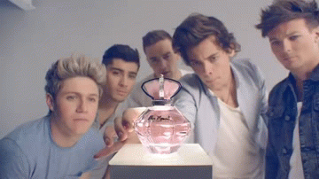 1d s GIF - Find on GIFER