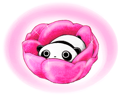 Panda Bear GIF Find On GIFER