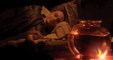 The big bang theory sheldon cooper jim parsons GIF - Find on GIFER