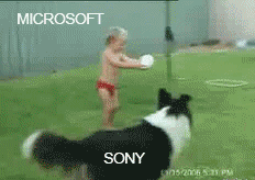 XMn6.gif