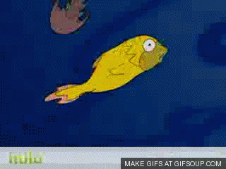 Evolution GIF - Find on GIFER