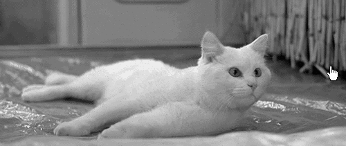 XhyB.gif
