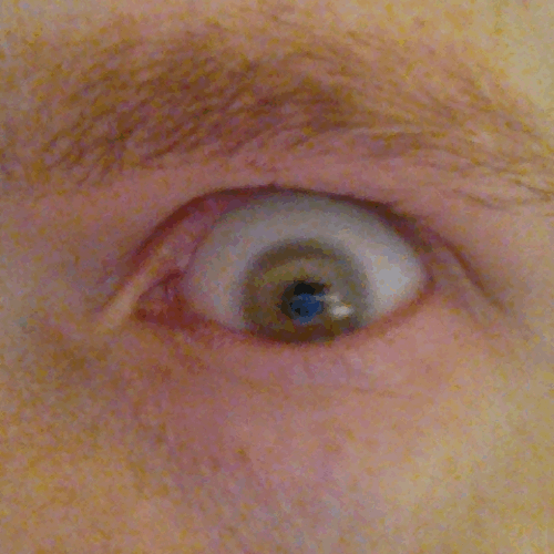 GIF art design animated GIF on GIFER