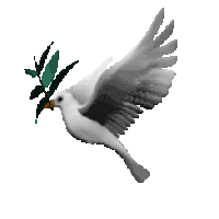 Https Encrypted Tbn0 Gstatic Com Images Q Tbn 3aand9gctt9b8213qwac61rxrzp9opysr33znv5jj9jhx3vtnlb Ceswrf