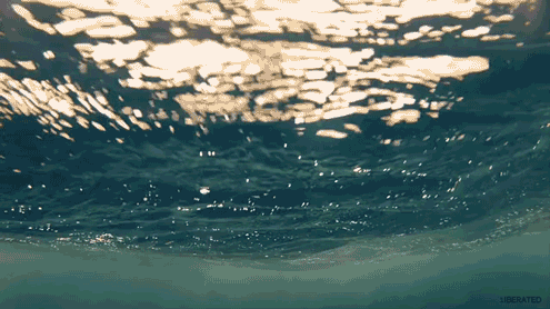 Nature GIF - Find on GIFER
