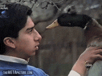 ������������� ��������