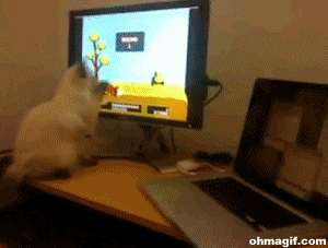 Funny video games video game GIF - Find on GIFER