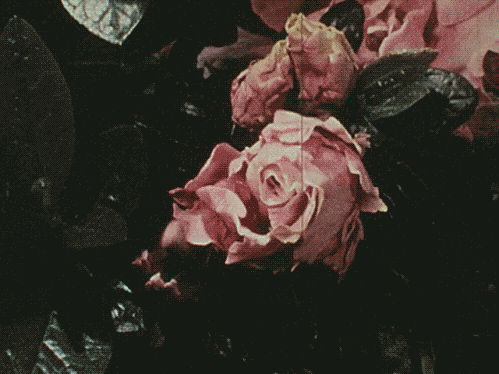 Flowers misc GIF - Find on GIFER