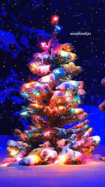 Christmas tree GIF - Find on GIFER