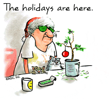 Image result for funny the holidays are here gifs