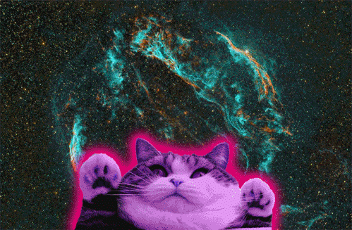 trippy space cat gif