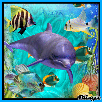 Shellfish Gif Sea creatures GIF - Find on GIFER