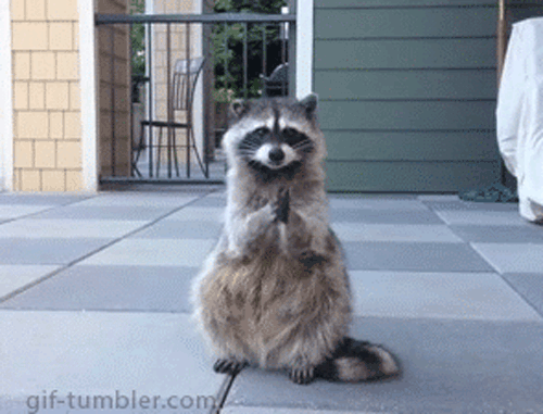 https://i.gifer.com/YKKY.gif