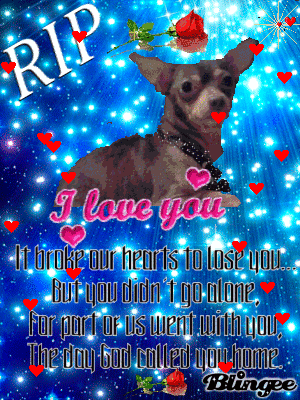 Rip GIF - Find on GIFER