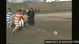 Weird cat GIF Find on GIFER