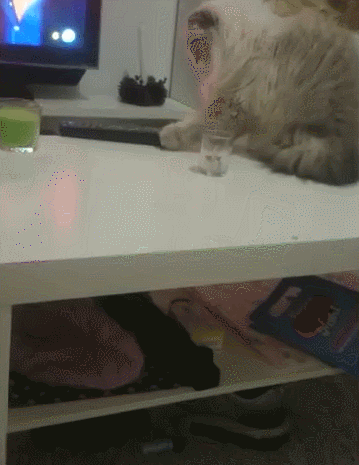 Кот спихивает со стола. Кот уронил со стола. Кот сбрасывает вещи гиф. Кот смахивает со стола. Кошка сбросила с конструкции один кубик