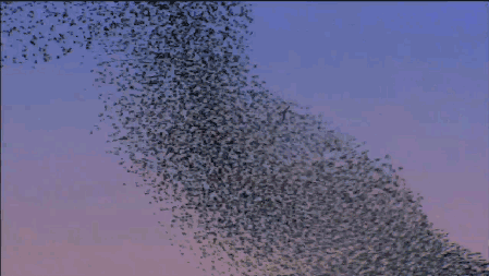 Gif De Beso Congelado Besos Hot GIFs Find & Share On GIPHY