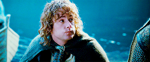 Adorable GIF Find on GIFER