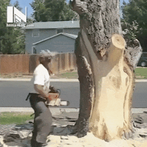 Oc GIF - Find on GIFER