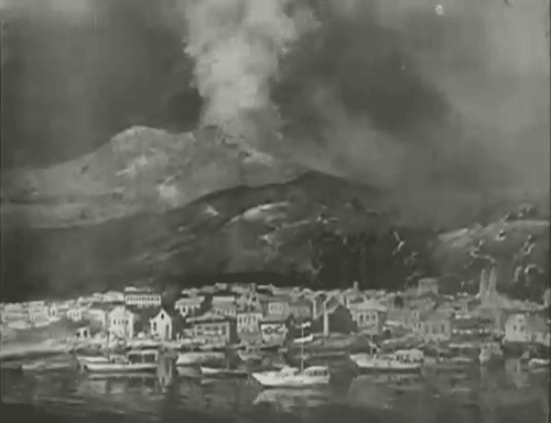 Horse mask reaction GIF Find on GIFER