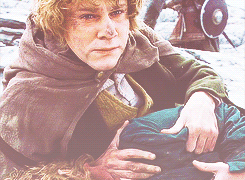 The lord of the rings GIF - Find on GIFER