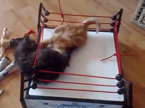 Yhrq.gif