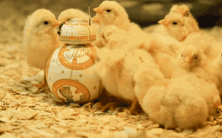 Popular GIF - Find on GIFER