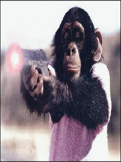 Monkey Dame GIF - Monkey Monke Dame - Discover & Share GIFs