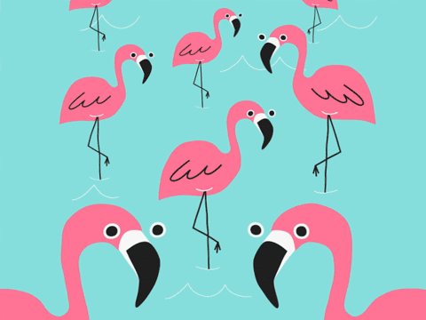 animated flamingo