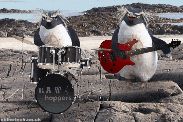 Guitar Gif Find On Gifer