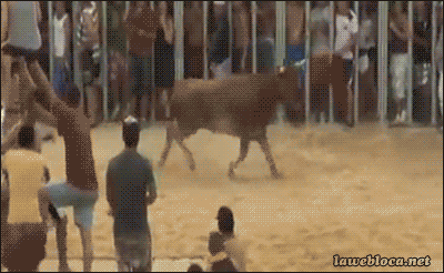 17+ Gif Funny Animals Smile PNG