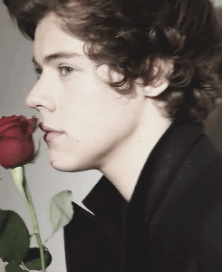 harry styles holding flowers