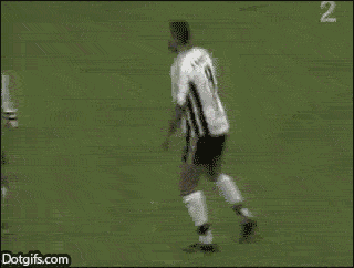 Z2dD.gif
