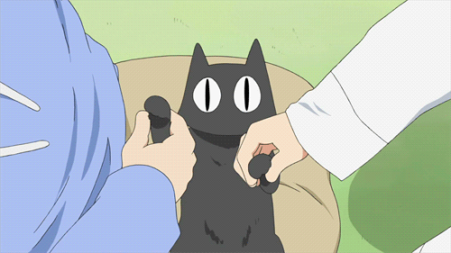 Funny Anime GIF, cat, Cartoon GIF - GIFPoster