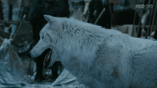 Image result for game of thrones ghost gif