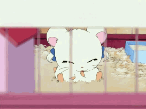 GIF hamtaro anime kawaii - animated GIF on GIFER - by Maushicage