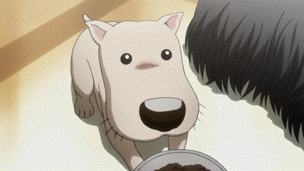 Anime dog poor GIF  Find on GIFER